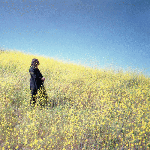 Gudsforladt : Lands Eternal Taken